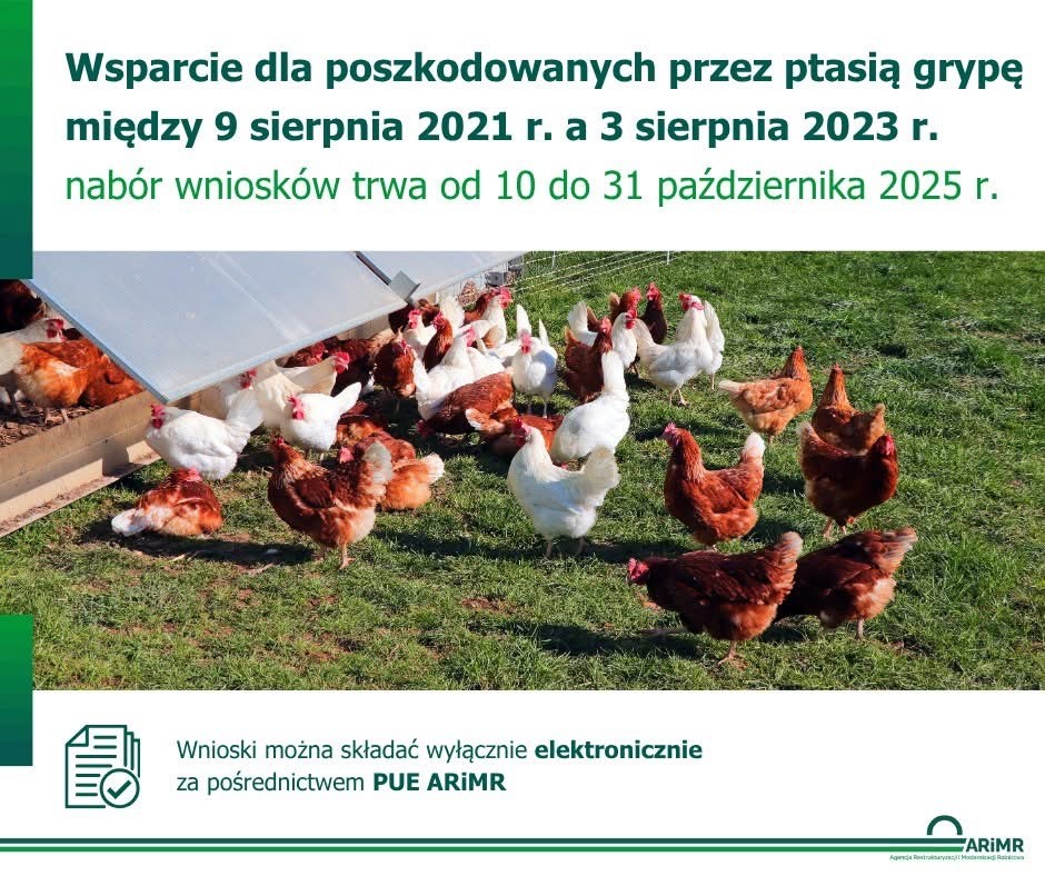 Do 31 października 2025 r. można ubiegać się o rekompensaty z tytułu ptasiej grypy